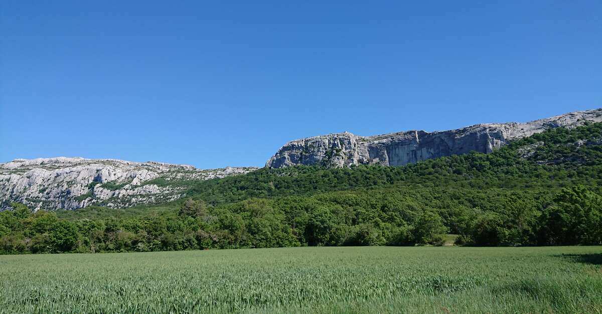Massif de la Sainte Baume (Aubagne) Office de Tourisme de Marseille