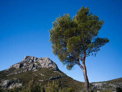 Aubagne : The Garlaban mountain range (Aubagne) | Provence-Alpes-Côte d ...