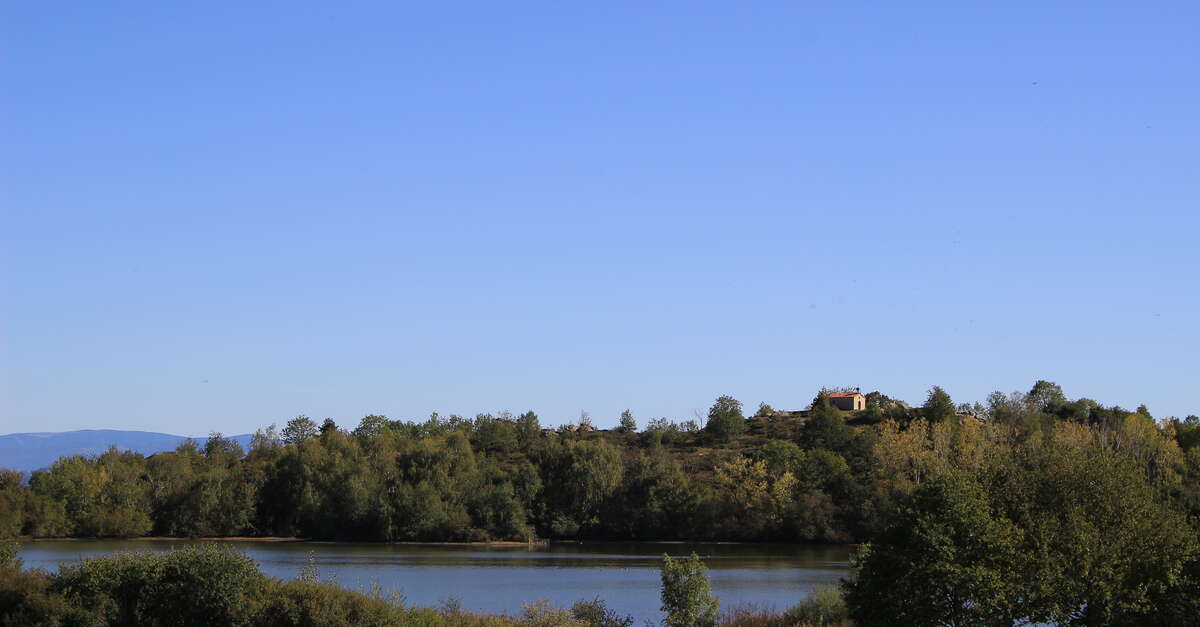 Circuit n°2 (Lézigneux) adtloire