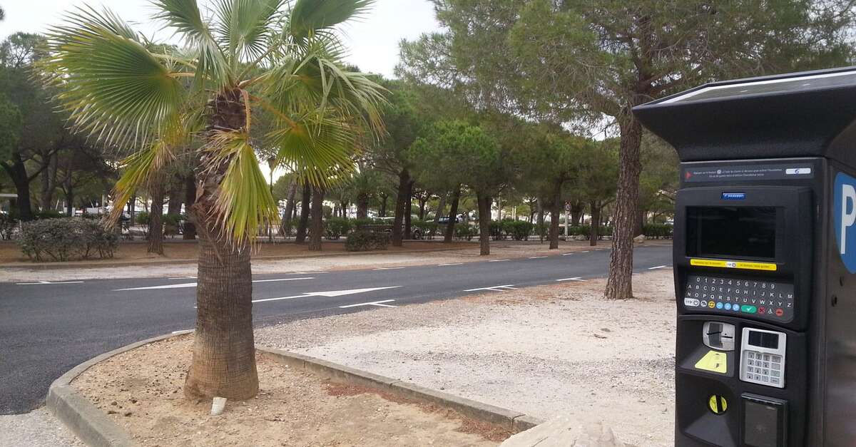 Parking (free)
