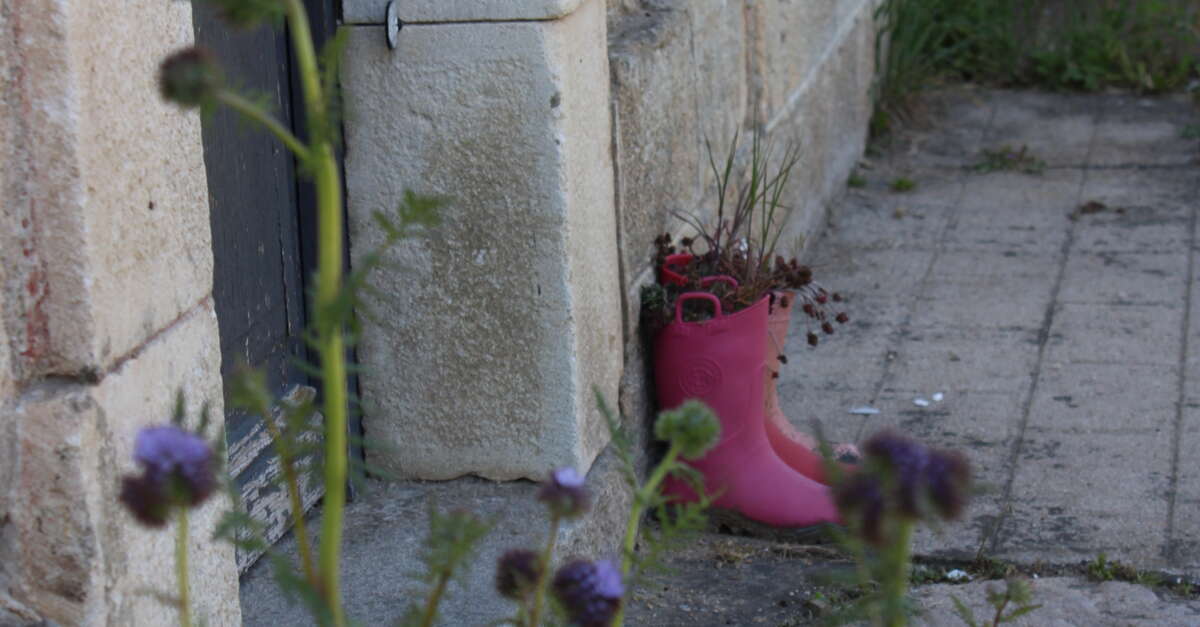 Circuit Les mares et les murets (SaintMarcelenMarcillat) Vallée