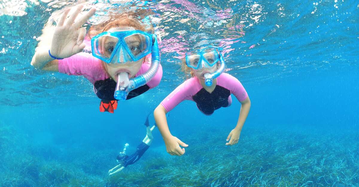 Rand’eau palmée à Olbia (Hyères) Destination Côte d’Azur France Le