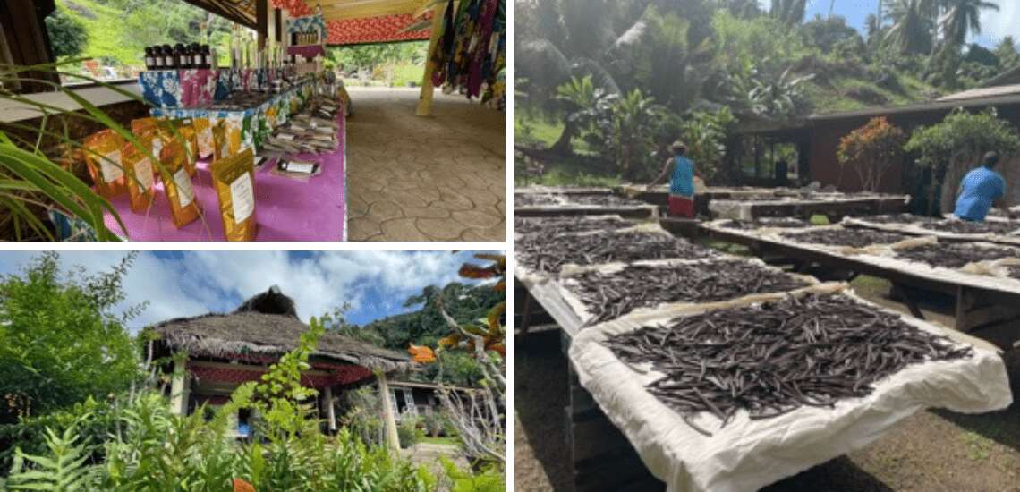 Vallée De La Vanille (Taha’a) | Tahiti Tourisme - Official website of ...