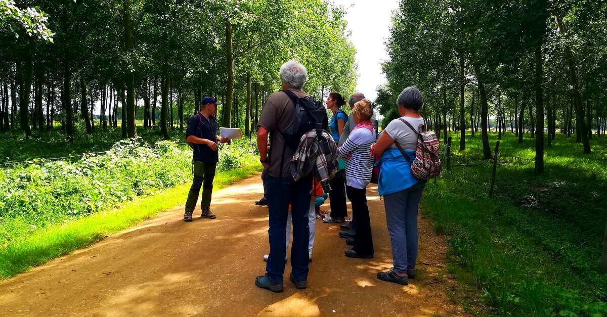 Atelier cueillette plantes sauvages comestibles 2h30