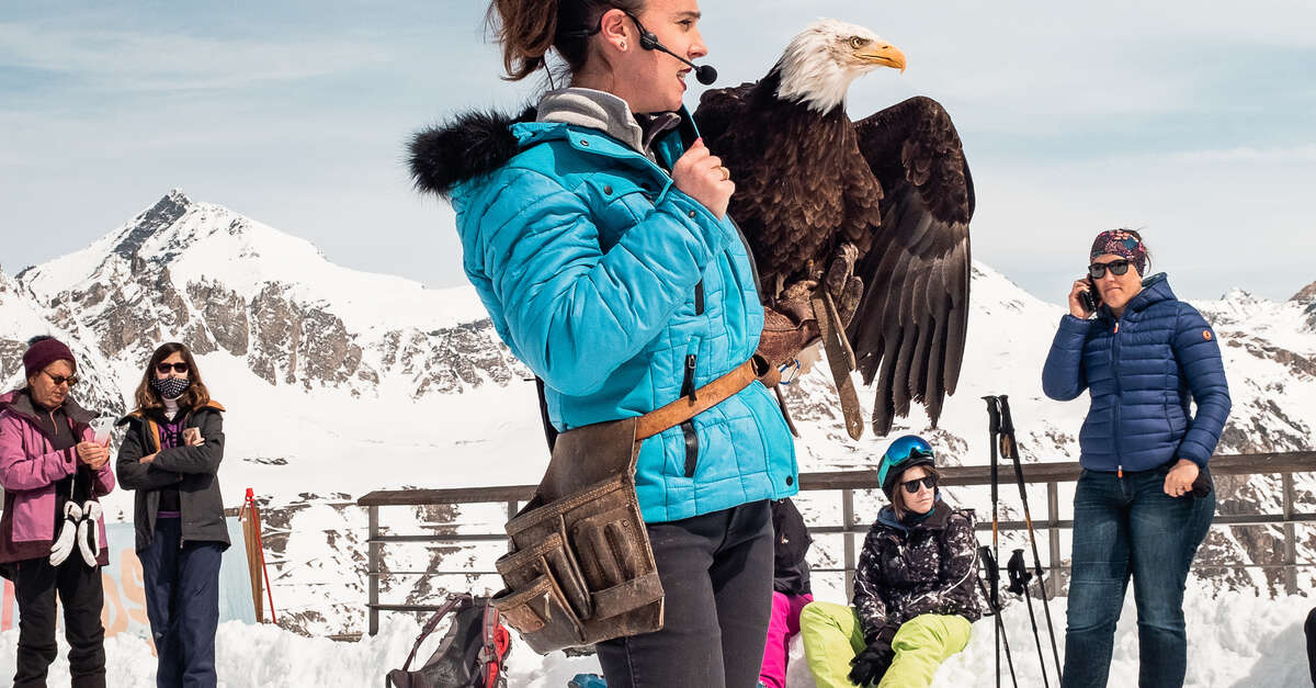 Val-d’Isère. Les Aigles de Val d’Isère organisent leur premier Vol et ski