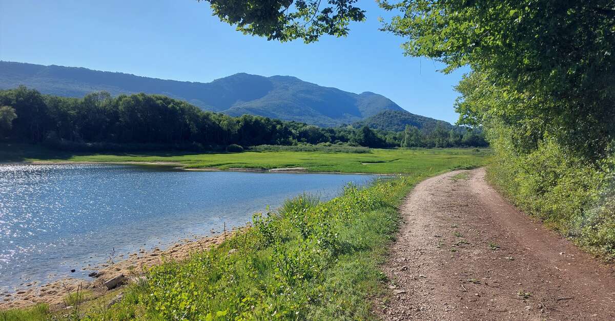 Circuit de randonnée pédestre Le Lac d’Armaille (Arboys en Bugey