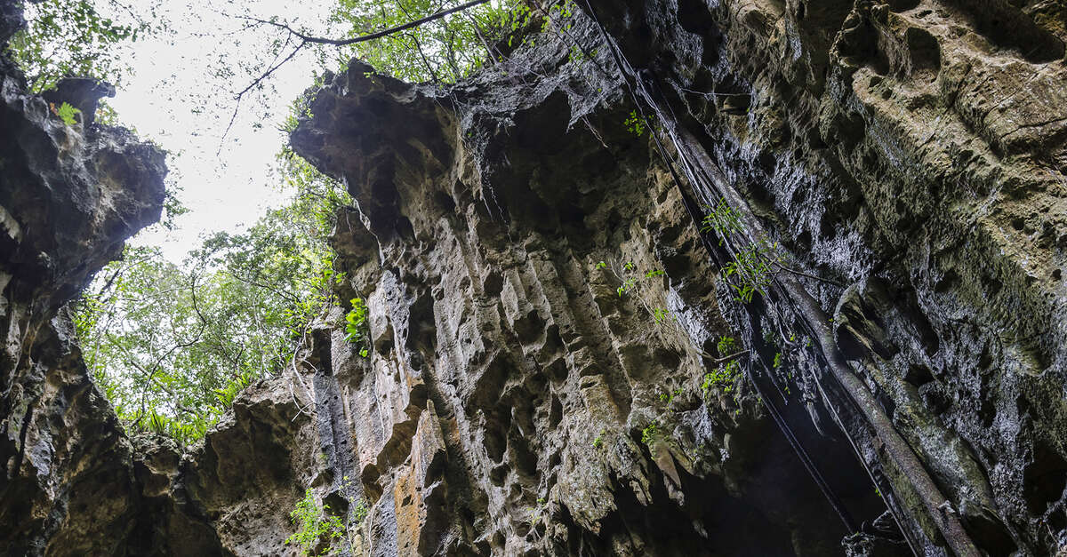 Grotte du diable (Lifou) | Nouvelle-Calédonie Tourisme : Le site ...