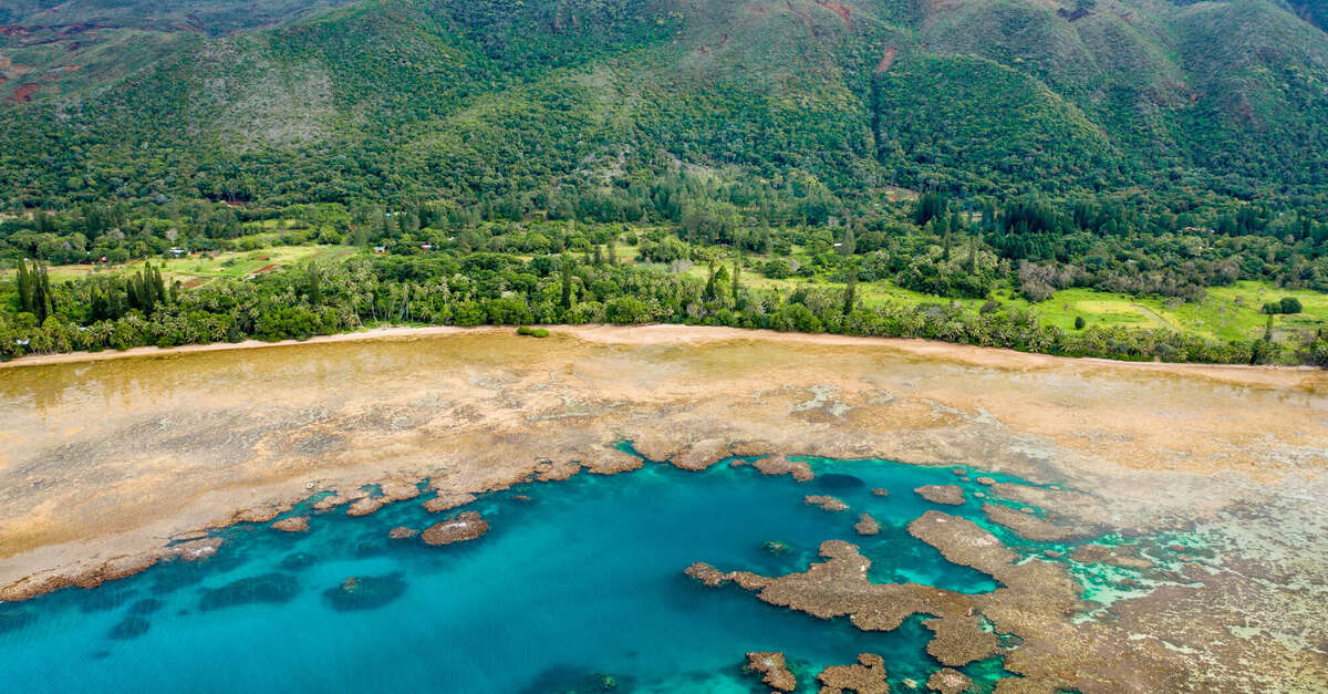 Camping Chez Pierre ATTI (Yaté) NouvelleCalédonie Tourisme Le site