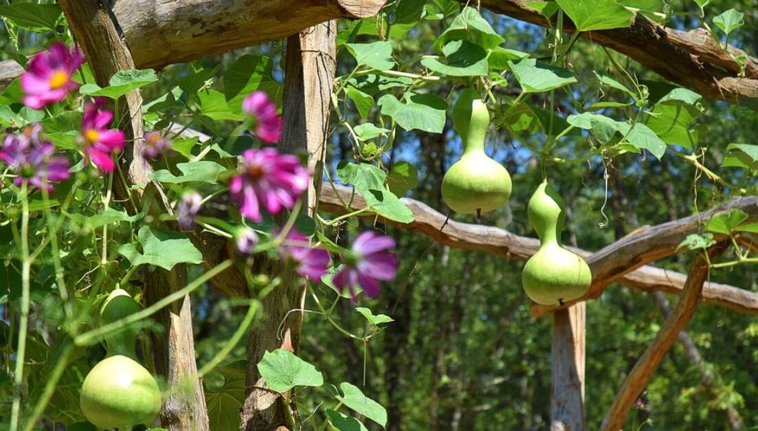 Jardin Cantous (SaintAntoninNobleVal) Tourisme