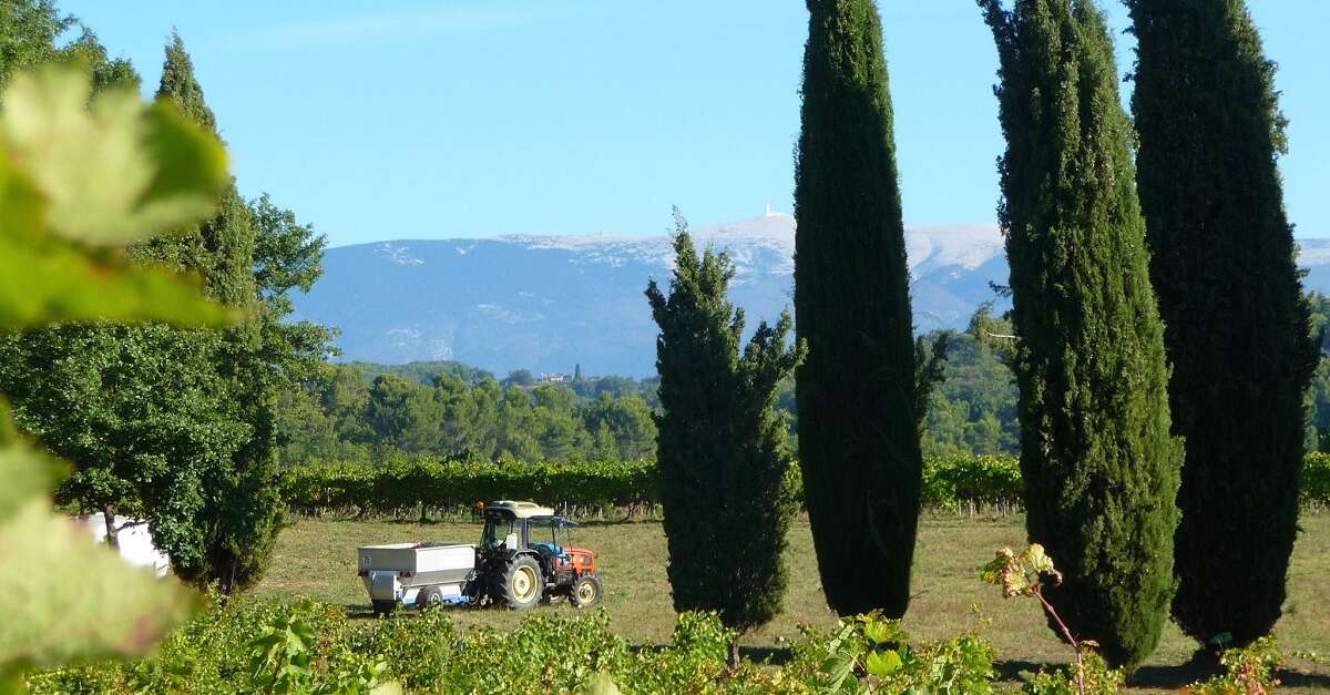 Château Unang ProvenceAlpesCôte d’Azur Tourismus