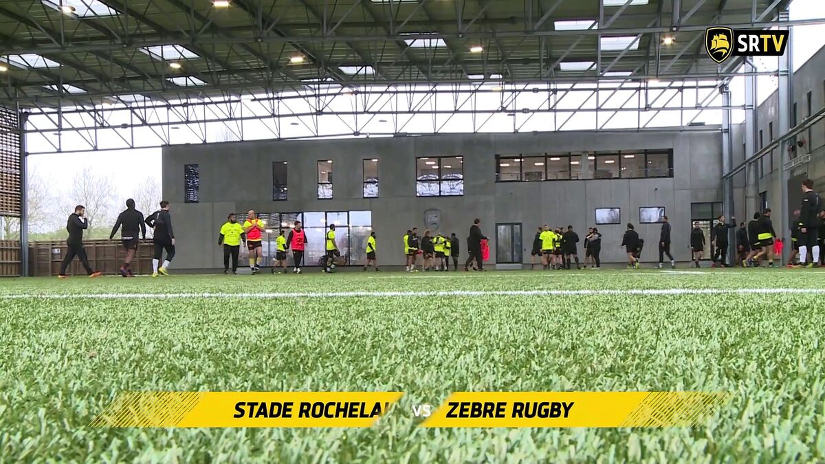 L'avant-match : Stade Rochelais / Zebre