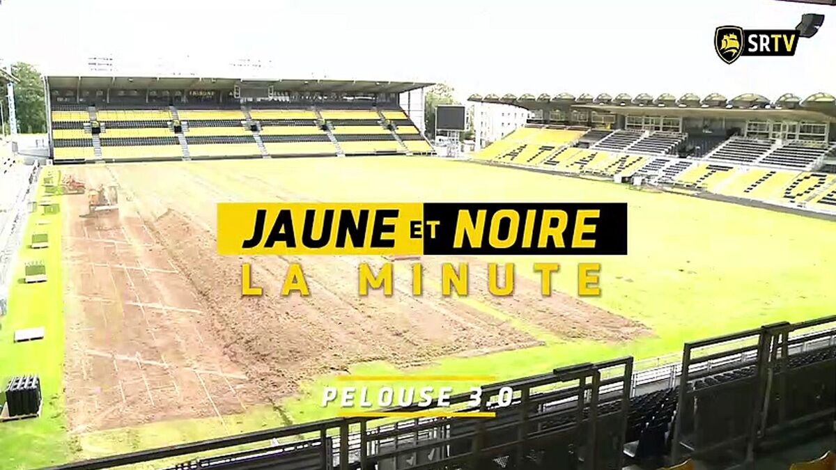 Minute Jaune et Noire - Pelouse 3.0