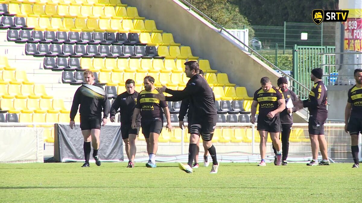 Stade Rochelais - Stade Français : l'avant-match !