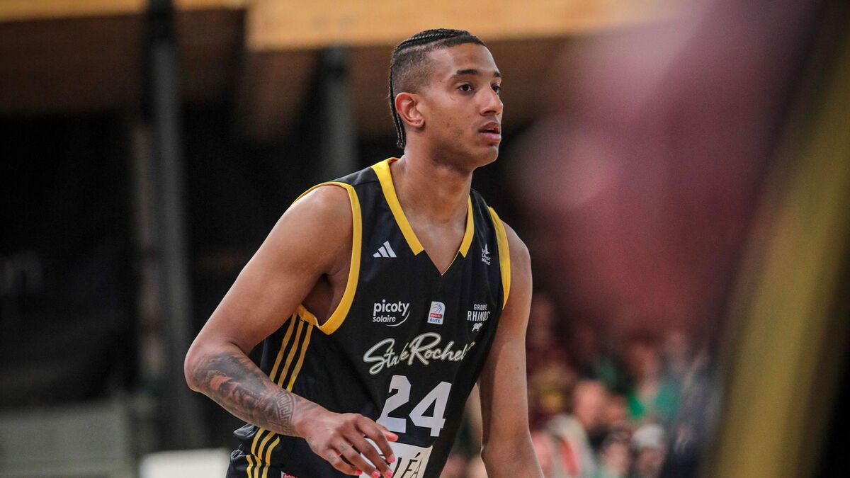Top 5 - Stade Rochelais vs Limoges