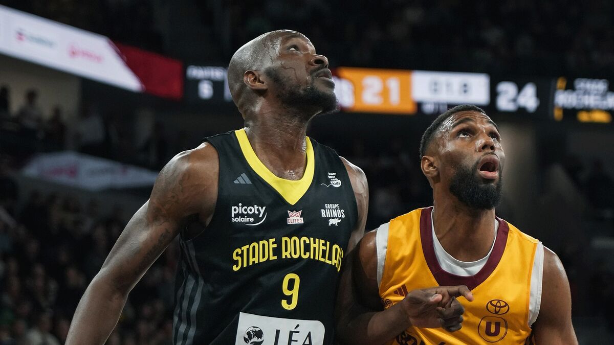 TOP 3 - Orléans Loiret Basket vs Stade Rochelais