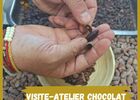 Alliance cacao