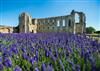 2-Abbaye-Maillezais--Credit-David-Fugere