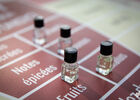 260425_Casino du Vin 12