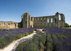 Cathedrale