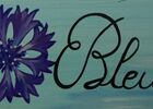 Bleuet