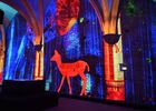 Chartres, 1000 ans d'éclat