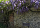 Appartement terrasse: jardin