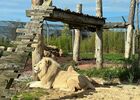 Lions blancs refuge La Tanière © Sophie_Fernandes Petitot