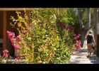 camping de la pascalinette