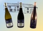 Nos vins
