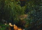 imgpreview-name-mising