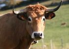 imgpreview-name-mising