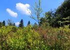 imgpreview-name-mising