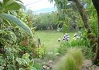 imgpreview-name-mising