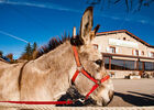 imgpreview-name-mising