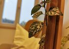 imgpreview-name-mising