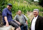 imgpreview-name-mising