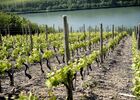 imgpreview-name-mising