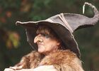 Fêtedelasorcière_CentreArthurien_Comper_Concoret_DestinationBrocéliande