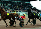 (2) GNDT - Maure de Bretagne-AGEFF PROD