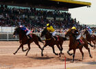 HIPPODROME MAURE DE BRETAGNE