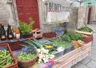 ferme_la-bouvrais-rumex_maraichage_brebis_Concoret_DestinationBroceliande