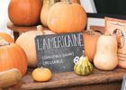 Fêtedelasorcière_CentreArthurien_Comper_Concoret_DestinationBrocéliande