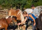 Un après-midi à la ferme_Tréhorenteuc_DestinationBrocéliande
