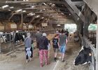 Un_apres_midi_a_la_ferme_Queheon