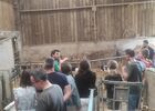 Un_apres_midi_a_la_ferme_Queheon