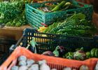 ferme_la-bouvrais_maraichage_brebis_Concoret_DestinationBroceliande