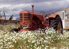 tractor-g6951c20c6_1280