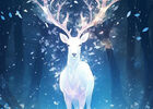 LE SOUFFLE DU CERF BLANC