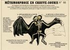 chimerologie_CentreArthurien_Comper_Concoret_DestinationBrocéliande