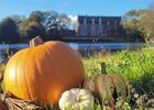 Semaine de Samain - L’Assemblée d’Automne des Conteurs